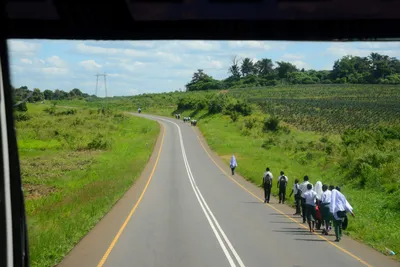 DSC_9694 (Large).JPG